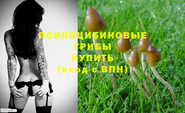 PSILOCYBIN Вязники