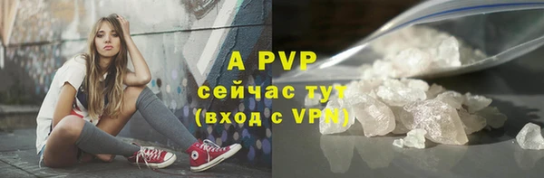 PSILOCYBIN Вязники