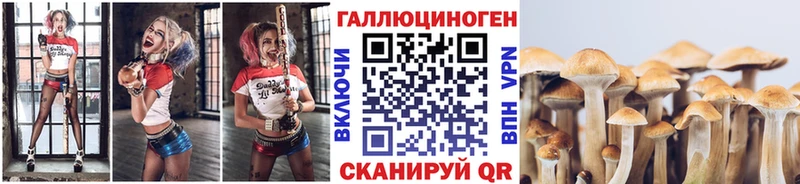 Галлюциногенные грибы мицелий Омск